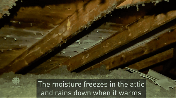 How To Prevent Mold With Spray Foam Insulation